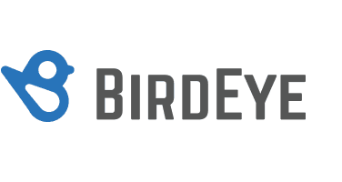 birdeye.jpg